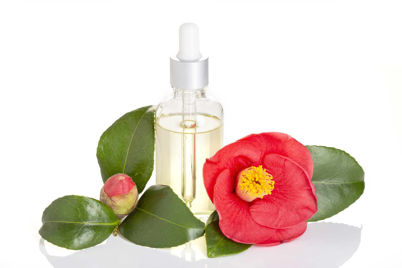 Kandungan Bahan Utama Yang Terdapat Pada Sebotol Face Oil
